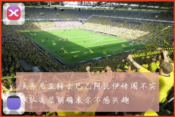 沃齐尼亚转会巴乙阿瓦伊传闻不实球队高层明确表示不感兴趣